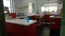 Toh Estate (D17), Detached #149740052